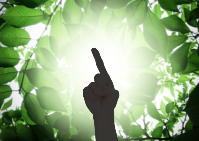 株式会社ジャストライト浪岡 智がお送りする四字熟語の「確乎不抜」についてのイメージ画像